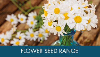 Flower Seed Ranges
