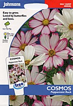 JO cosmos peppermint pink pkt